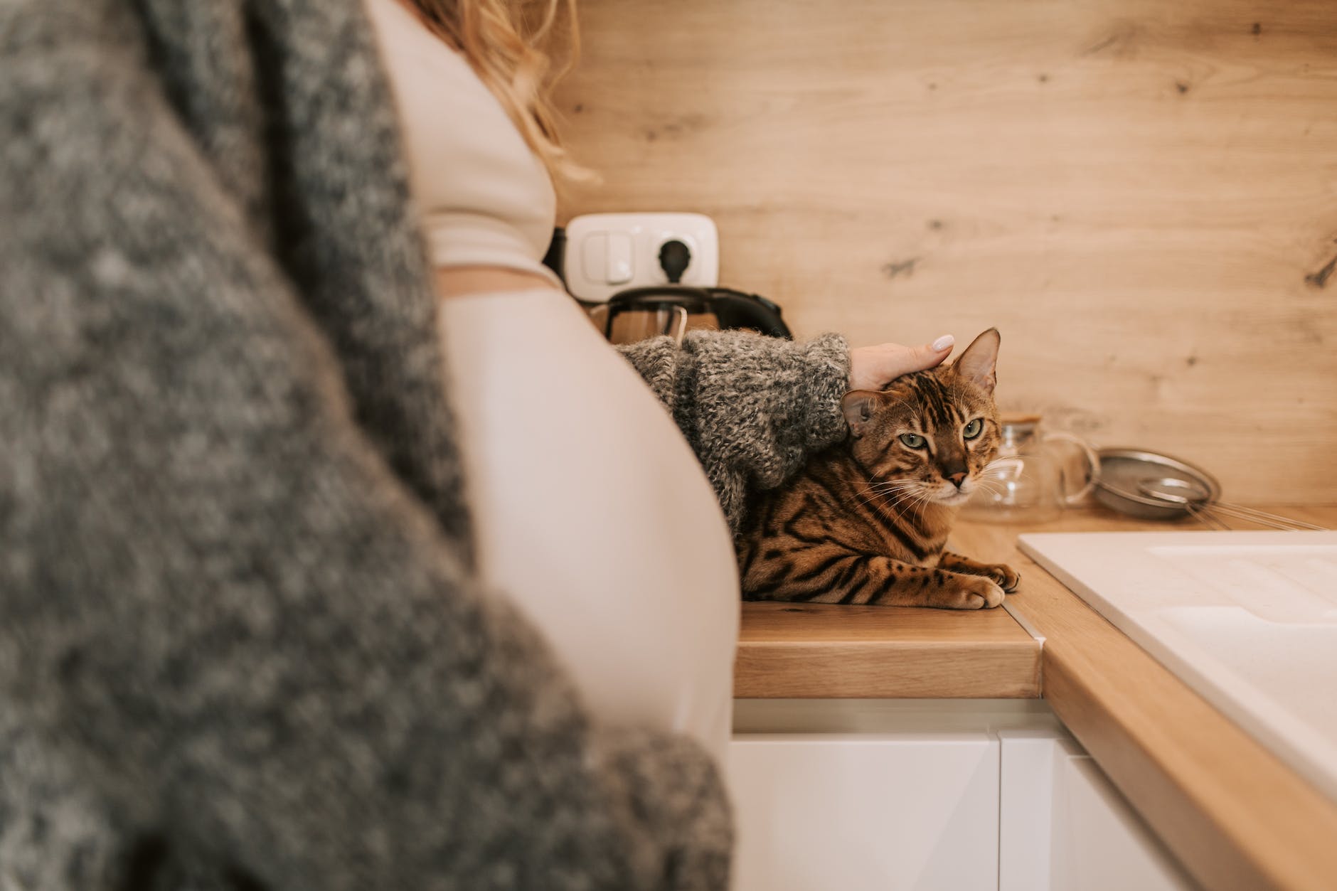 pregnant woman holding a cat on a counter