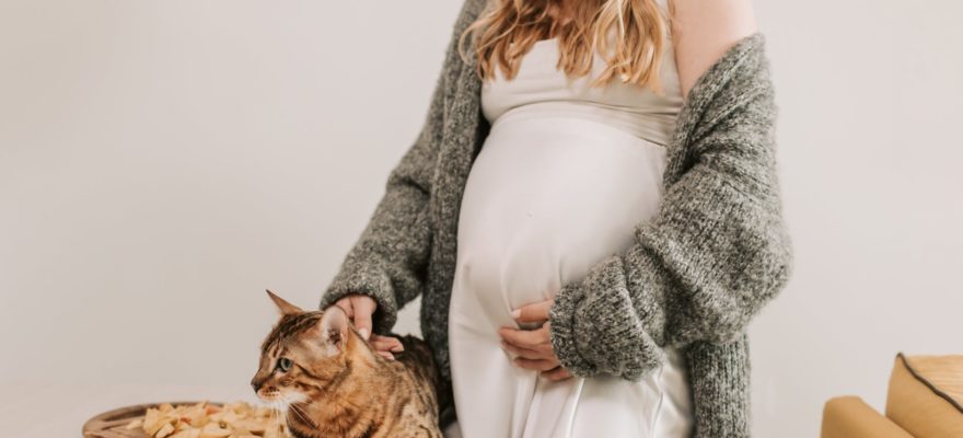 pregnant woman petting a cat