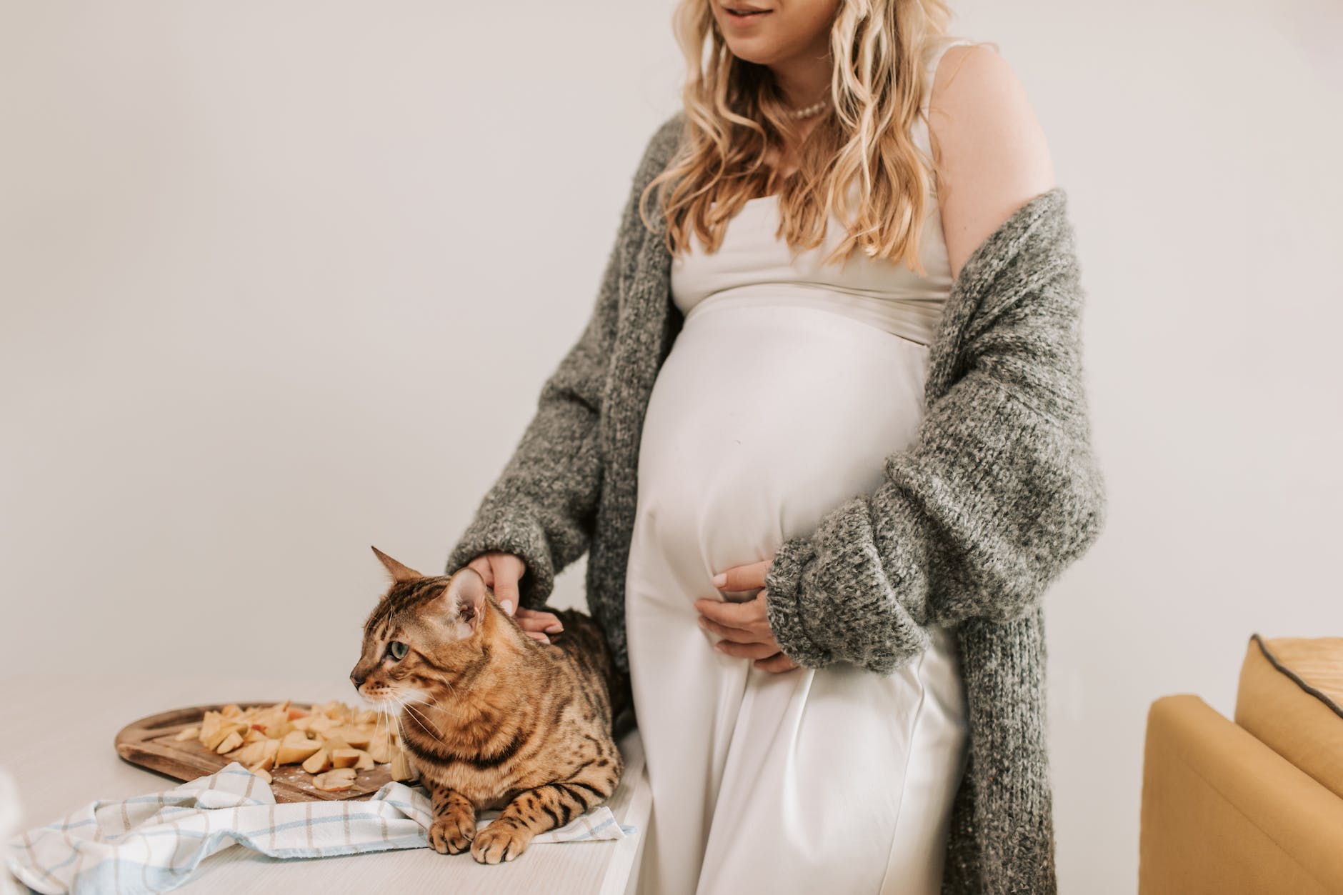 pregnant woman petting a cat