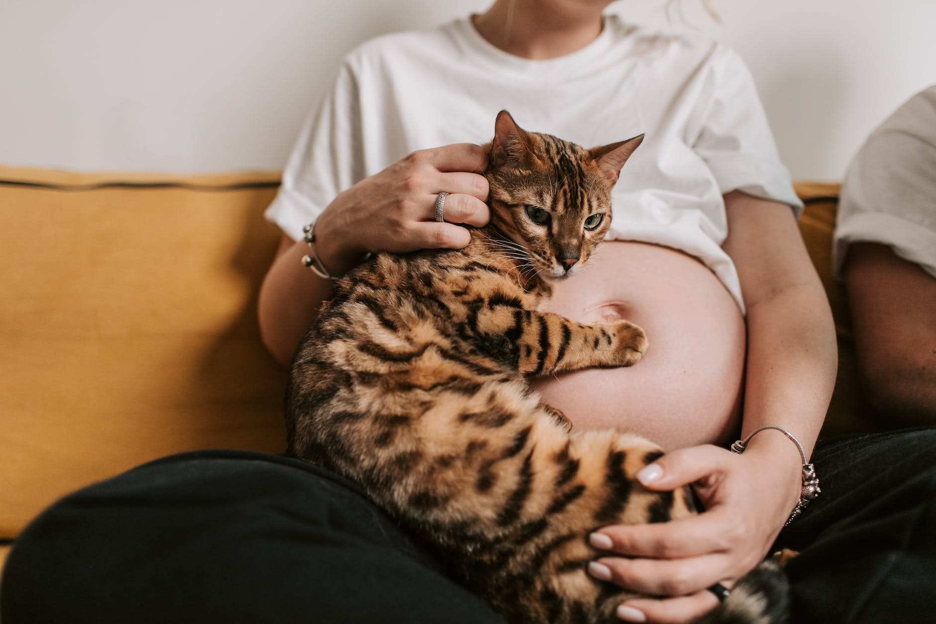 pregnant woman holding a bengal cat