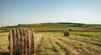 photo of hay rolls on grass field
