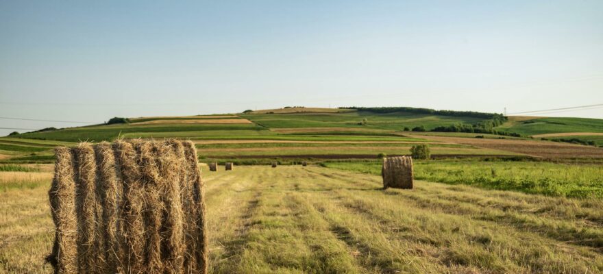 photo of hay rolls on grass field