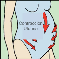 Como contar las contracciones